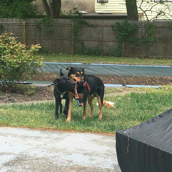 Profile Picture of Barbara Nicholson (@barnichols) on Poshmark