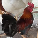 Profile Picture of Gloria McFarland (@Gloria-McFarland) on Facebook