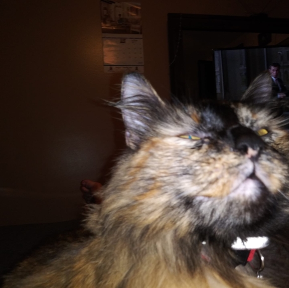 Profile Picture of Christine Laurence (@christinelau250) on Poshmark