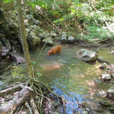 Profile Picture of Olive Jeejeebhoy (@searby) on Twitter