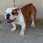 Profile Picture of Albert velez (@albertvelezcruz) on Instagram