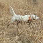 Profile Picture of Larry Shoffner (@larryshoffner) on Instagram