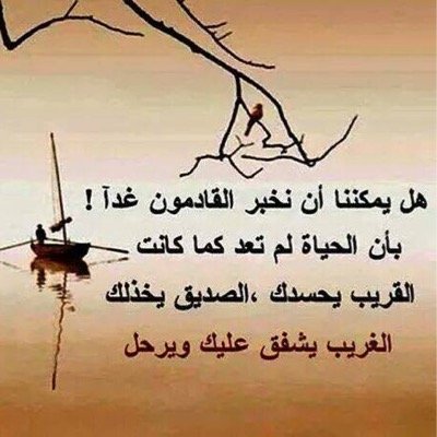 Profile Picture of Amal Hasan (@Amal3dan) on Twitter