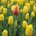 Profile Picture of Cathy McMaster (@cathymcmaster3) on Pinterest