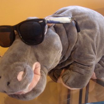 Profile Picture of Hippo Press (@2012nh) on Twitter