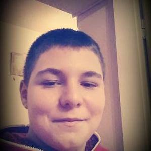 Profile Picture of Daniel Radic (@radic_dr) on Twitter