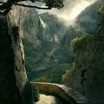 Profile Picture of Shelly Fish (@fishshelly) on Instagram