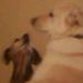 Profile Picture of Debra Turley Lowery (@crazywoman1004) on Pinterest