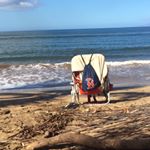 Profile Picture of Nancy Panaro (@nancypanaro) on Instagram