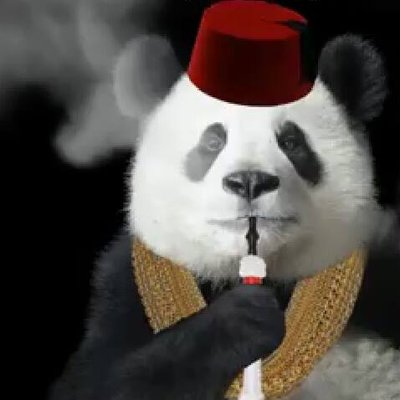 Profile Picture of Radwa Ahmed (@Radwa_A_Fouad) on Twitter