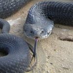 Profile Picture of Randy Godwin (@randygodwin) on Pinterest