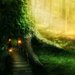 Profile Picture of Paul Ostrowski (@ostrowskipaul) on Instagram