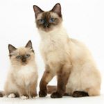 Profile Picture of danielle (@pasley.danielle) on Instagram