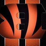 Matthew P D'Avino - Instagram Profile Picture of Matthew P D'Avino (@cinbengals18) on Instagram
