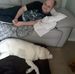 Profile Picture of Tim Fowler (@tim.fowler.50309) on Facebook