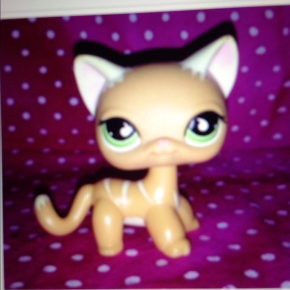 Profile Picture of Stacey Pearson (@staceyrn1980) on Poshmark