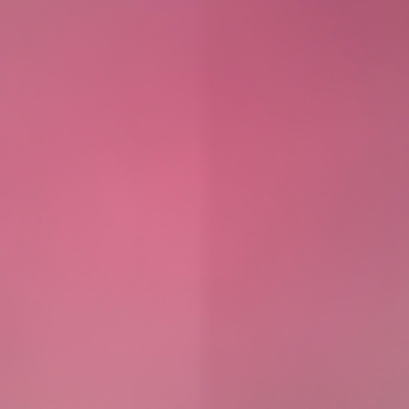 Profile Picture of Daniela Tamayo (@dantam33) on Poshmark