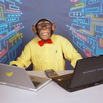 Profile Picture of Scott Deuel (@arachnerd) on Instagram