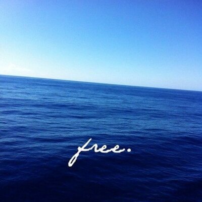 Profile Picture of Ian Craig Walker (@WalkerBigTalker) on Twitter