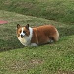 Profile Picture of 鄭瑞賢 (@rayseng8888) on Instagram