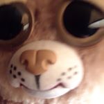 Profile Picture of William Cronenberg (@cronenbergwilliam) on Instagram