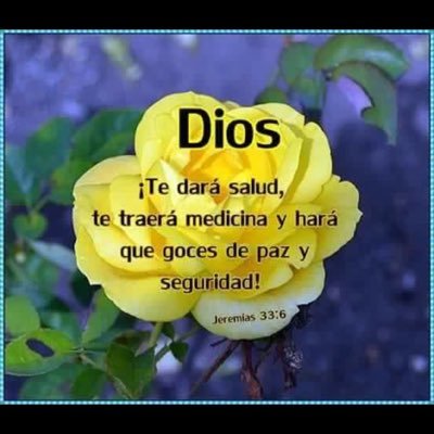 Profile Picture of LYDIA CARRERO (@LydiaCarrero) on Twitter