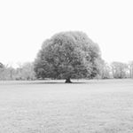 Profile Picture of Marilyn Vargas Millan (@chulinvargas) on Instagram