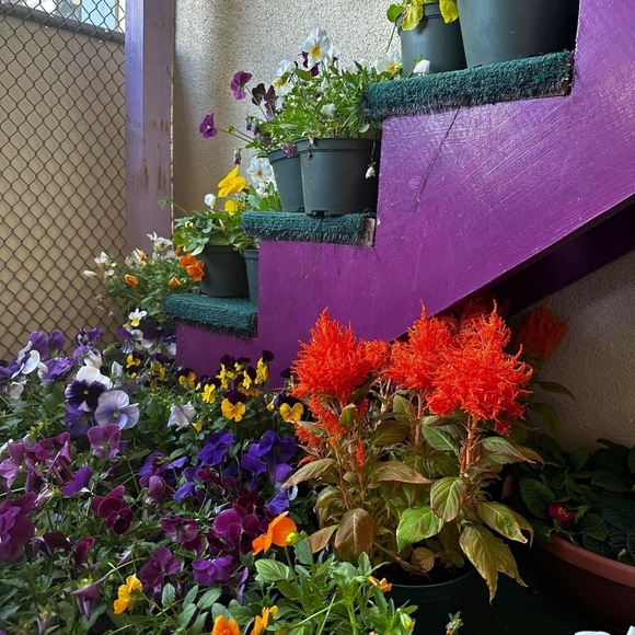 Profile Picture of Jeffrey Ferguson (@norval_lebsack3) on Poshmark