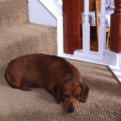 Profile Picture of J-rod (@JeffRod_Plano) on Twitter