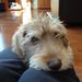 Profile Picture of Suzanne Root (@louroot) on Pinterest