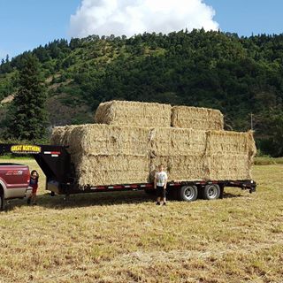 Profile Picture of Mike Burks (@mike.burks.900) on Facebook