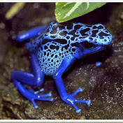 Profile Picture of Eric Vavra (@phoenixflames44) on Youtube