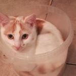 Profile Picture of Marc Aerts (@aerts67) on Instagram