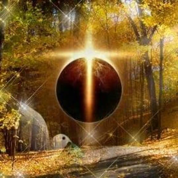 Profile Picture of Paula Arrigo (@paulaarrigo) on Poshmark