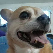 Profile Picture of Isabel Freeman (@isabelfreeman376) on Youtube