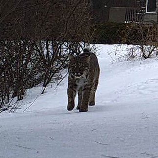 Profile Picture of Richard Sugarman (@sugman) on Twitter