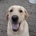 Profile Picture of Ralph Schaner (@ralph.schaner.7) on Facebook