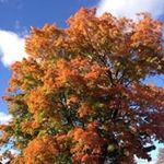 Profile Picture of Wendy Enelow (@wenelow) on Instagram