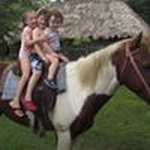 Profile Picture of Howard Getz (@getzitsold) on Instagram