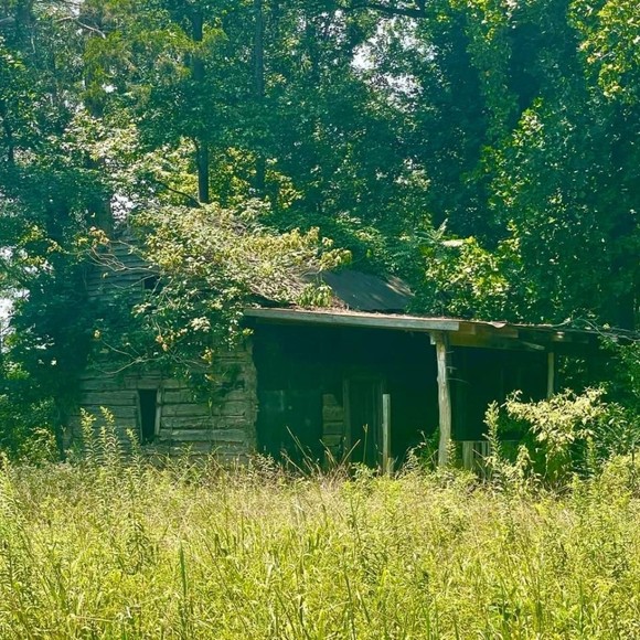 Profile Picture of Marianne Mciver (@marianne_mciver) on Poshmark