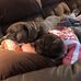 Profile Picture of Jennifer Chisholm (@jennifer.chisholm.581) on Facebook
