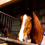 Profile Picture of marilyn sue hoskins (@marilynsue8) on Instagram