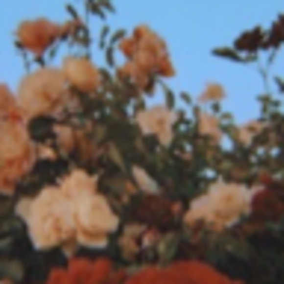 Profile Picture of Sophia Waitekus (@1waites) on Poshmark