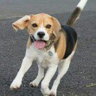 Profile Picture of Fiona McDowell (@mcdowellfiona) on Instagram