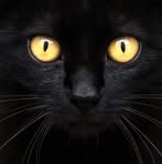 Profile Picture of Adam Deocampo (@adam.deocampo.3274) on Facebook