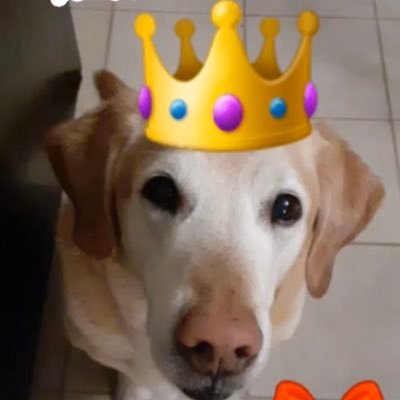 Profile Picture of Dave Banno (@ItsMeDaveBanno) on Twitter