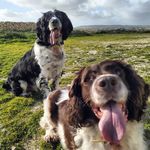 Profile Picture of Sheila & Marsinski (@shishiundmars) on Instagram