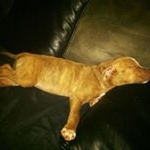 Profile Picture of Keith Herrin (@herrinkeith) on Instagram