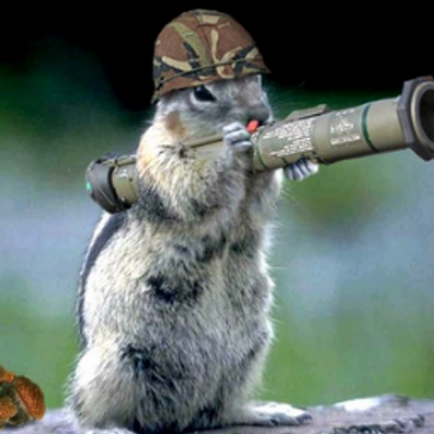 Profile Picture of Hunter Holladay (@fearlesskid95) on Twitter