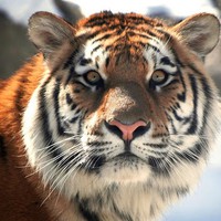 Celeste Meyer - Quora Profile Picture of Celeste Meyer (@celeste-meyer-5) on Quora